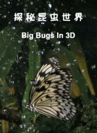 探秘昆虫世界(全集)