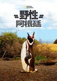 国家地理 野性阿根廷(全集)