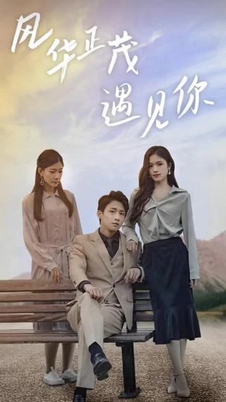风华正茂遇见你21-40集