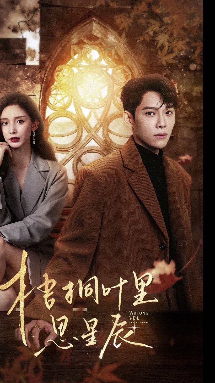 梧桐叶里思星21-40集