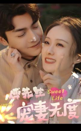 傅先生宠妻无度101-120集(大结局)