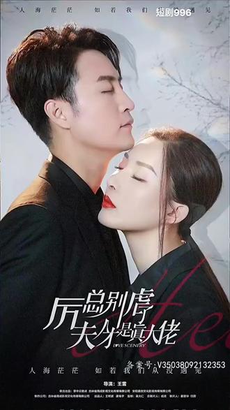 厉总别虐了，夫人才是真大佬81-100集(大结局)