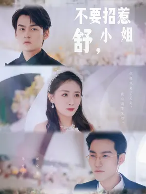 不要招惹舒小姐41-60集