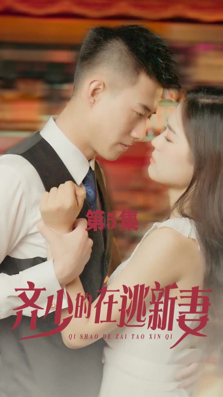 齐少的在逃新妻21-40集