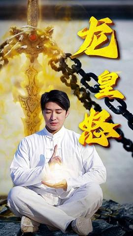 龙皇怒81-100集(大结局)