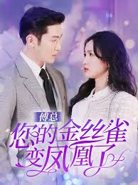 傅总您的金丝雀变凤凰了全集(大结局)