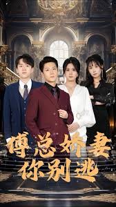 傅总娇妻你别逃全集(大结局)