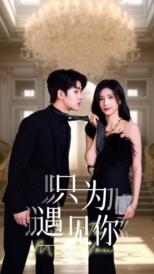 只为遇见短剧全集(大结局)