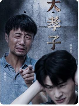 大孝子全集(大结局)