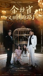 金丝雀又组团跑路了全集(大结局)