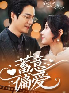 蓄意偏爱第1-20集