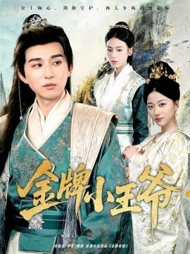 金牌小王爷(全集)