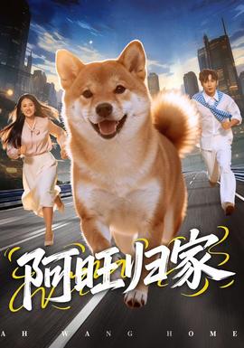 阿旺归家(全集)